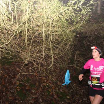 TRAIL D'HALLOWEEN 2024