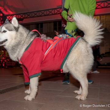 Le Footing  des pères Noël 2023