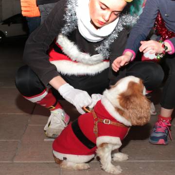 Le Footing  des pères Noël 2023