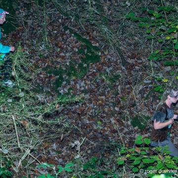 Les foulées d'Halloween 2025